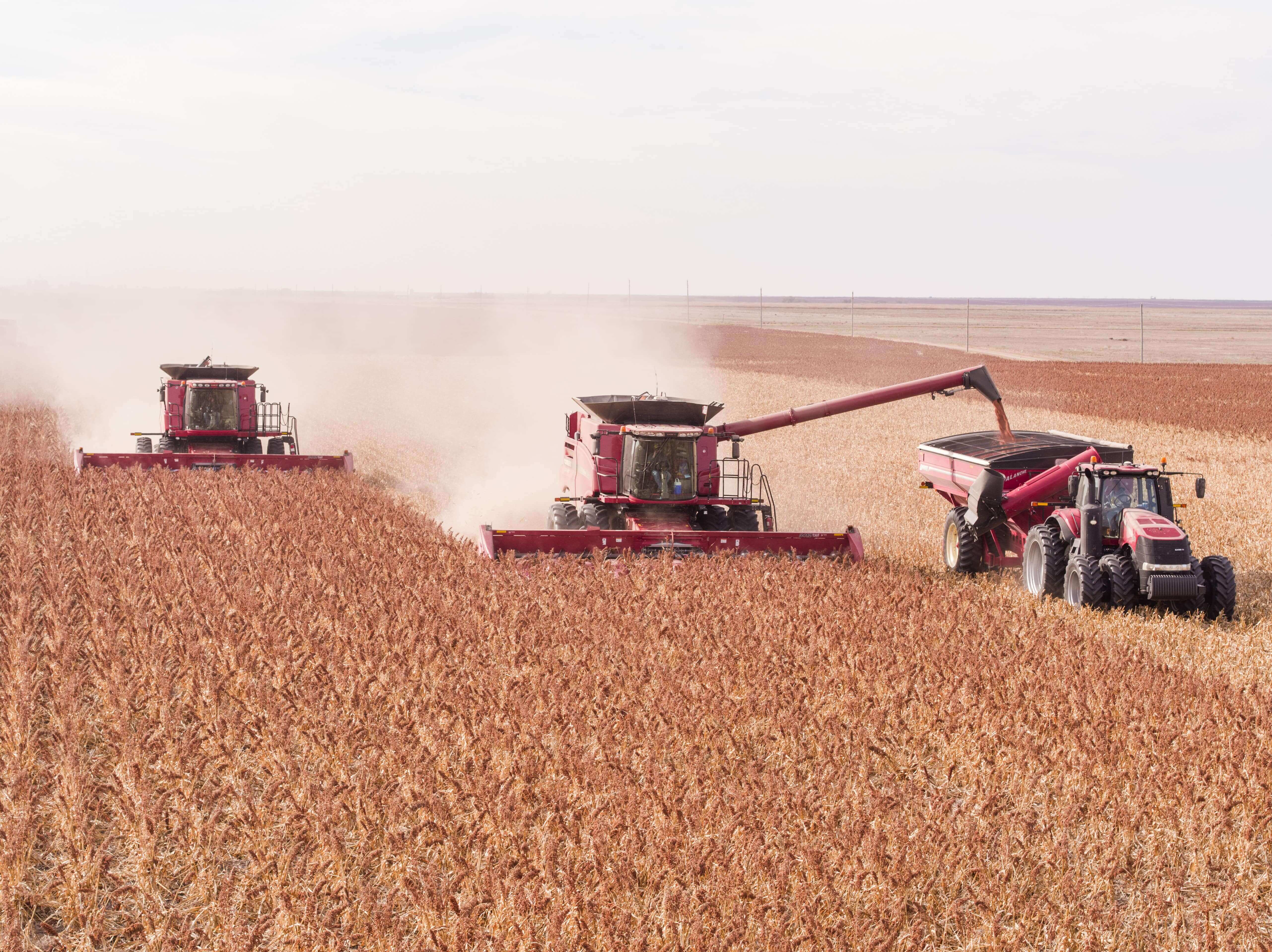 Three red combines using ARRO®.